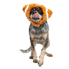 Football Head Plush Wearable Dog Toy