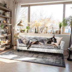 Heritage Dog Sofa - Slate