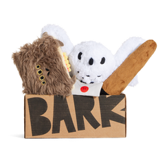 Bark 12 Month Subscription - Harry Potter First Box