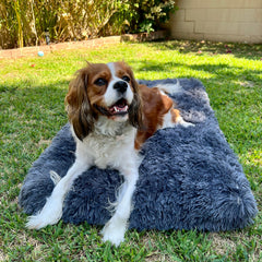 Orthopedic Calming Crate Bed