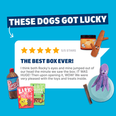 Lucky Doggie Bag