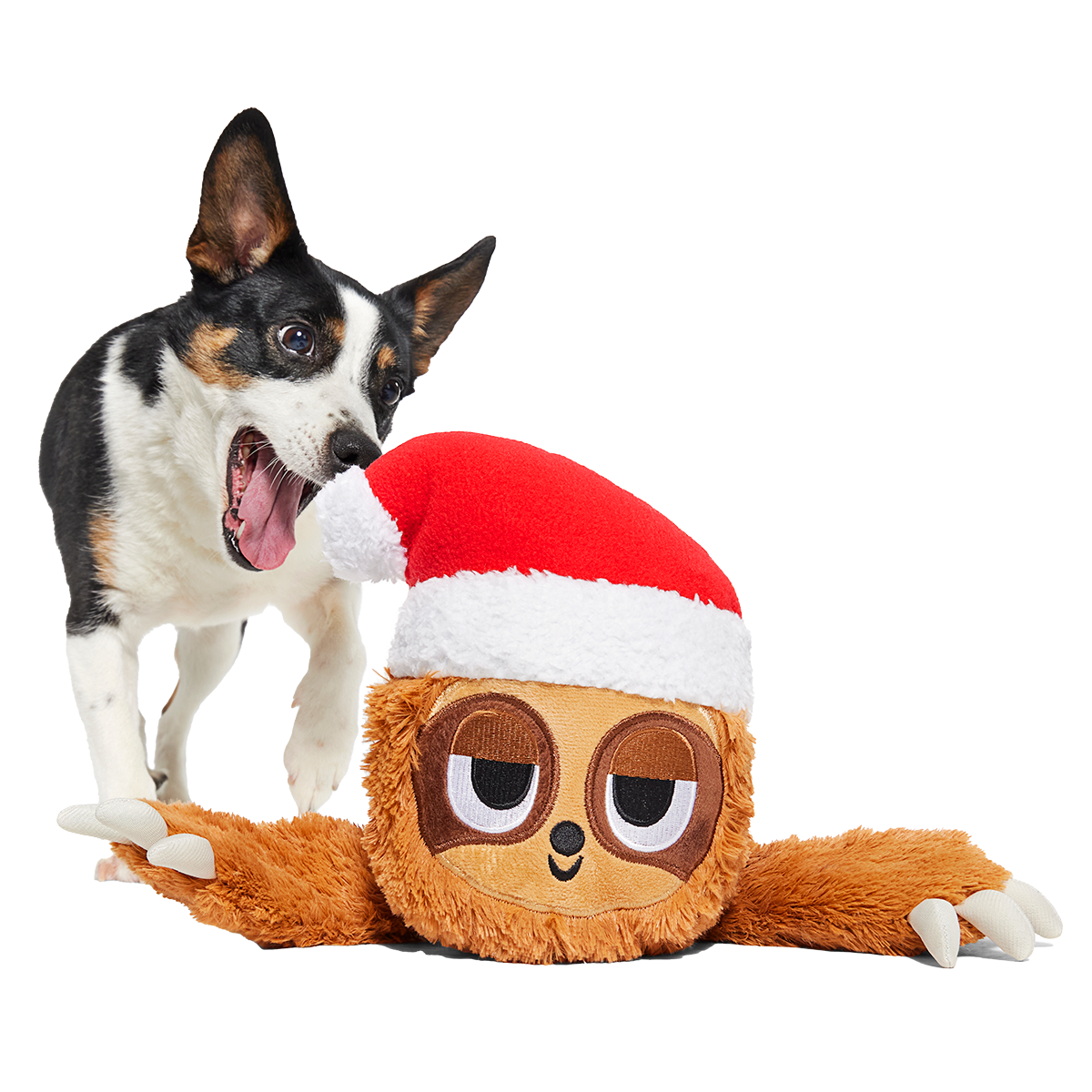 Let It Slow Plush Extra-Large Tug Dog Toy