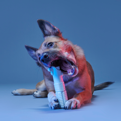 Ultimutt Jedi Lightsaber™ Super Chewer Durable Gnaw Dog Toy