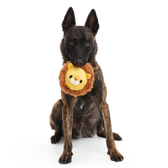 Lionel Lion Durable Super Chewer 2-In-1 Rip And Reveal + Fetch Dog Toy