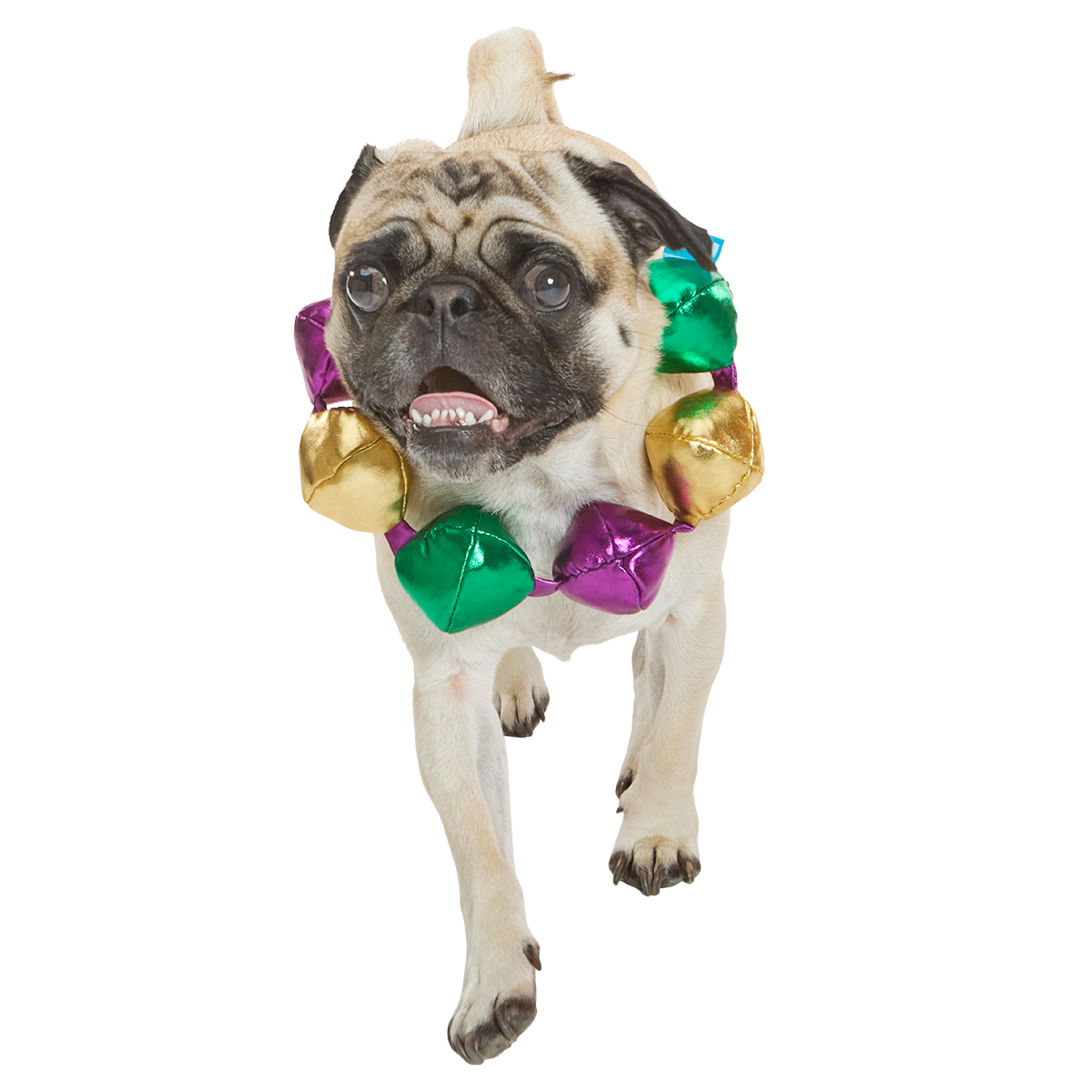 Mardi Growl Necklace Plush Wearable Tug Dog Toy