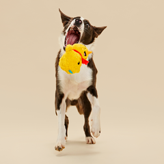 Mark The Yellow Snowman Plush Dog Toy