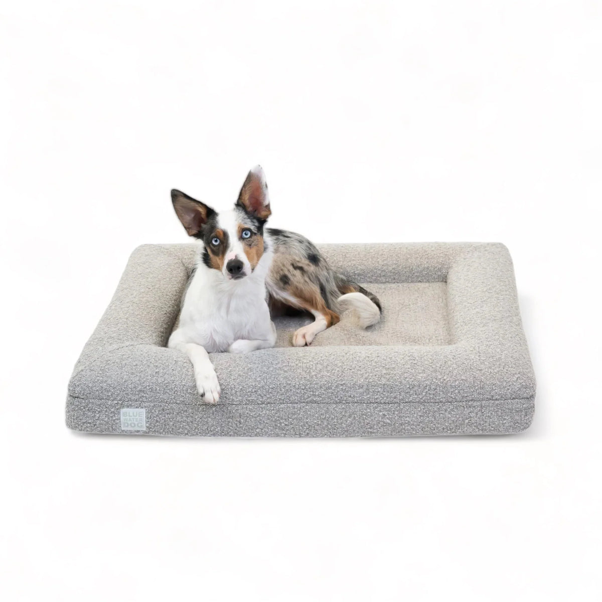Medium Bouclé Orthopedic Dog Bed (Bolster, Sand)