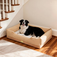 Oxford Orthopedic Bolster Dog Bed