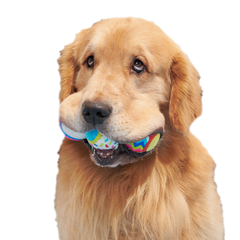 Party Fetchers 3 Squeaky Tennis Balls