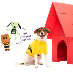 Peanuts™ Halloween Bundle
