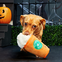 Puggin Spice Latte Plush Dog Toy