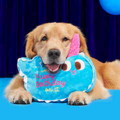 Pudgy the Narwhal Cake Plush Extra-Large Dog Toy