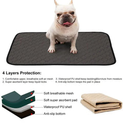 Washable Training Pee Pads for Dogs & Cats
