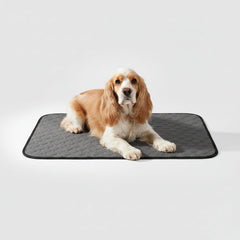 Washable Training Pee Pads for Dogs & Cats