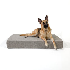 Large Bouclé Orthopedic Dog Bed (Cushion, Sand)