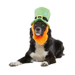 St. Pup's Lucky Hat Plush Wearable Tug Dog Toy